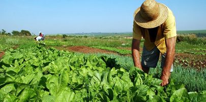 reforma-agraria-mst